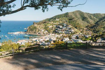 Scenic Golf Cart Tour Offered By Local Guides