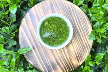 Shincha Experience and Nerikiri Making in Shinjuku