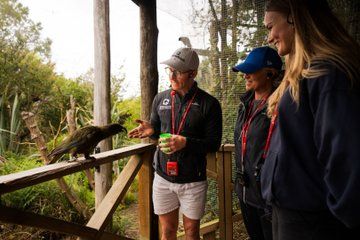 Christchurch: Guided Native Tour Willowbank Reserve