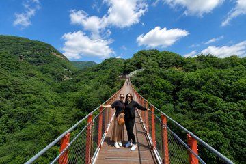 Small Group DMZ Highlight Tour MAX 10 with Suspension Bridge