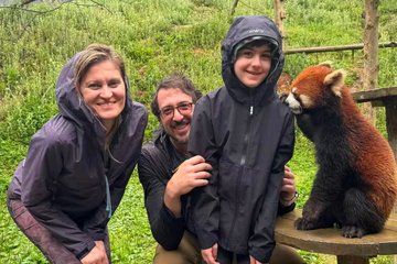 Dujiangyan Panda Base Tour with Optional Red Panda Interactive