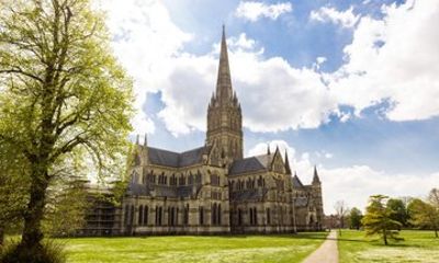 New Forest & Salisbury Cathedral Private Tour