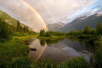 Eagle River Nature Center Half Day Walk