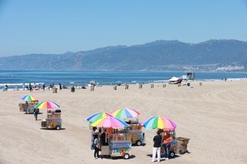 Grand LA Tour 7 Hour Open Bus Adventure from Santa Monica
