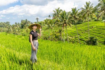 Bali UNESCO Rice Terrace Bedugul Temple Tanah Lot Private Tour