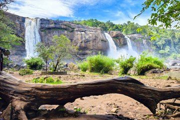 5 Days Kerala Tour with Medical Check Up Munnar and Backwaters