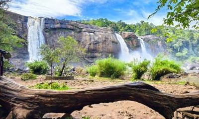 5 Days Kerala Tour with Medical Check Up Munnar and Backwaters
