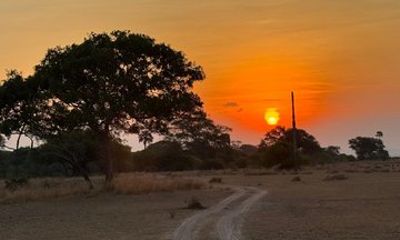 6 Days Flying Safari to Ruaha National Park and Zanzibar