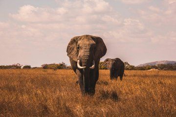 Aquila Game Reserve Sunset Safari from Touws River
