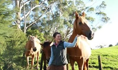 Brisbane Horse Care and Riding Experience
