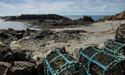 Private Tour: Peel Vikings & the Scenic West Coast