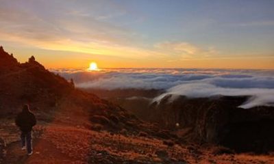 Madeira PR1 and Other PR Trail Access Booking Service No Transfer