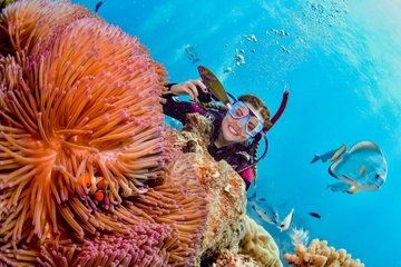 Scuba Diving At Nha Trang Bay