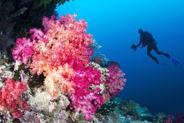 Scuba Diving Experience with BBQ Lunch Onboard