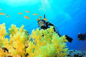 Nha Trang Snorkeling Tour with BBQ Lunch at Coral Reef
