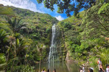Private Auckland Tour with Mount Eden ,KareKare Falls ,Piha beach