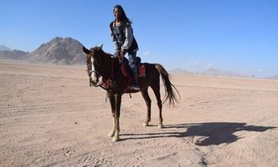3-Hour Beach & Desert Horse Ride with Swim & Transfer - Hurghada