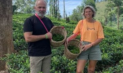 Greenwood Tea Plantation Tour in Nawalapitiya Sri Lanka