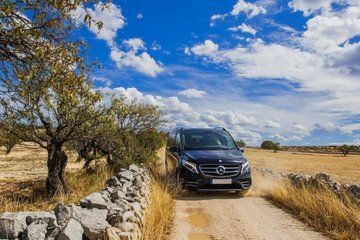 Lecce and Gallipoli: Private Tour from Monopoli, Alberobello, Ostuni