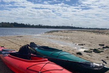 Cape Fear River Leisure Kayak Family-Friendly Adventure
