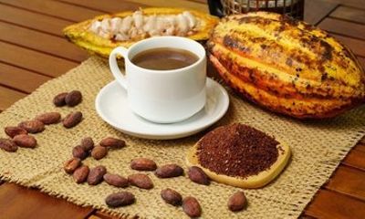 Rainforest Falls and Chocolate tour