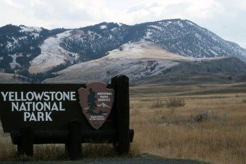 Yellowstone National Park Transportation