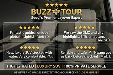Seoul Private Layover Border View and City Airport and Cruise