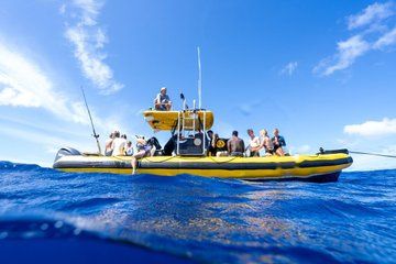 North Shore Snorkeling Adventure Waimea Bay and Wānanapaoa Island
