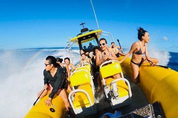 North Shore Snorkel Adventure: Waimea Bay and Wānanapaoa Island