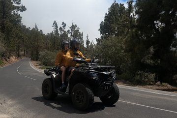 Your Private Trip to the Heart of Tenerife