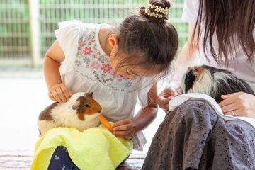 Tokyo Family Adventure Animals Games and Japanese Food