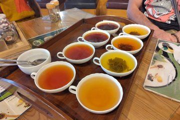 Kandy Tea Factory Visit and Tea Tasting with Pickup and Drop off
