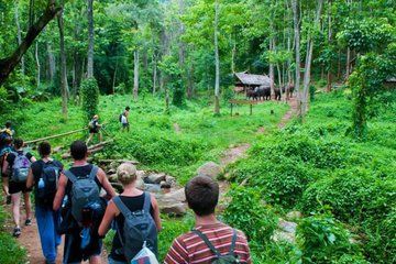 Cuc Phuong Hiking Tour Explore Vietnam Oldest National Park