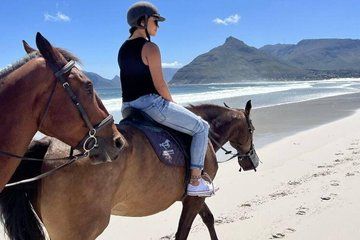 Guided Cape Town Experience