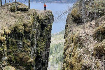 Guided Hike Discover Oslo Scenic Forests