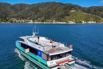 Wellington Harbour eBike Explorer Ferry first then Cycling