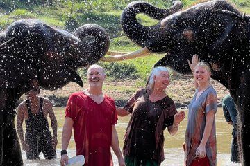 Elephant Sanctuary and Sticky Waterfall Chiangmai Tour