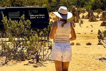 Pinnacles Desert and Coastal Discovery, Private Tour from Perth