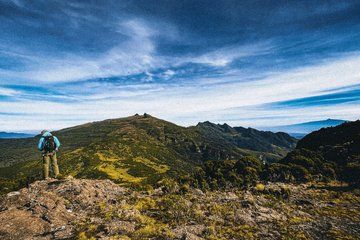 Elephant Hills Hike 1 Day Adventure to the Aberdares