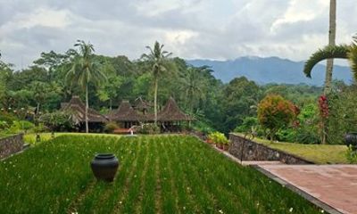 Coffee Plantation Hotel Tour at MesaStila Resort fr Semarang