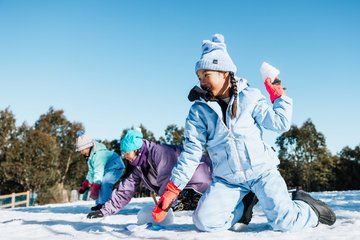 Lake Mountain Snow and Puffing Billy Tour from Melbourne