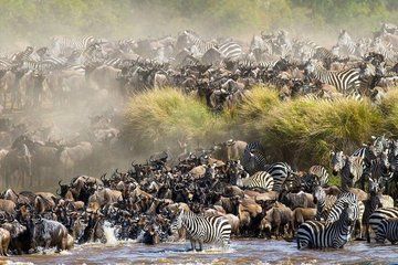 10 days Great Migration Serengeti Ngorongoro and Culture
