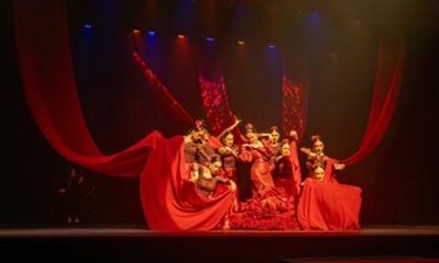 Flamenco Fusion Show with Tapas and Drinks in Salou
