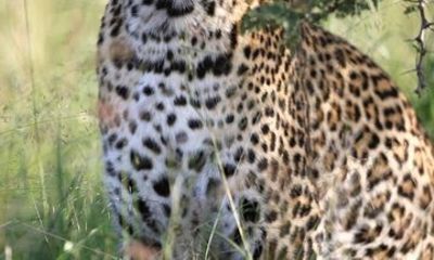 3 Days Samburu Nationa Reserve Private Safari