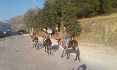 Afternoon Donkey Ride Along the Mountain Foothills of Parikia