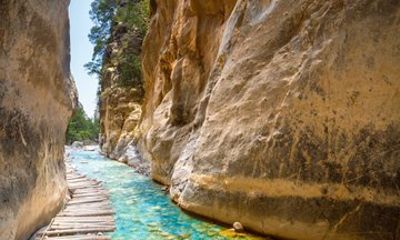 Private Tour: Samaria Gorge View, Botanical Gardens & Chania
