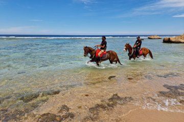 Horseback Riding Adventures in Makadi Bay