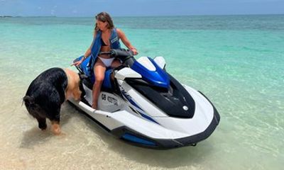 Swim with Pigs and Skis Tour Experience