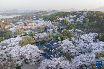 Wuxi Private Day Tour Classical Gardens Ancient Town