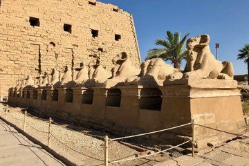 Luxor East Bank Tour Karnak and Luxor Temples with Private Guide